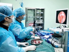 醫(yī)療技術(shù)新突破 西充縣人民醫(yī)院耳鼻咽喉科在鼻內(nèi)鏡與超聲技術(shù)領(lǐng)域的卓越實(shí)踐