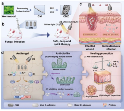 黃光超聲技術 真菌無蹤，腳氣克星的科研實力新突破